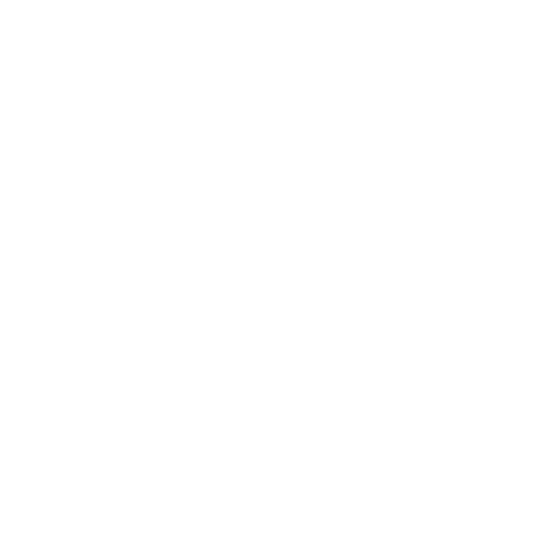 CSO---Tech-Support
